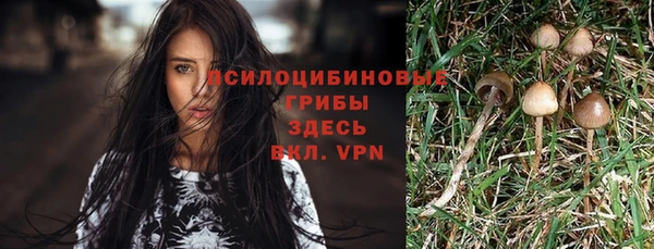 МДПВ Алексеевка