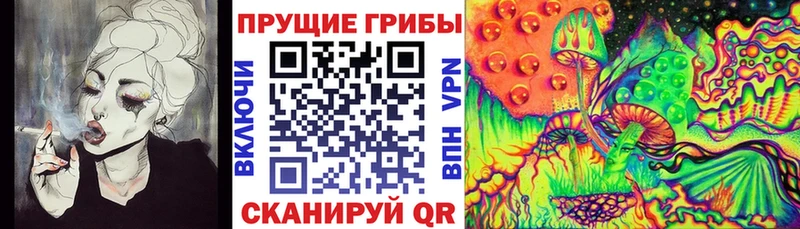 hydra ТОР  Кинешма  Псилоцибиновые грибы мицелий 